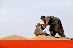 تخلیه ۲۱.۵ میلیون تنی 7 قلم کالاهای اساسی در 1402