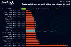 سبزی گران و گوشت ارزان شد؛ تورم سفره خانوار در دی ماه به چند رسید؟+اینفوگرافی