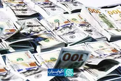  صندوق‌های ارزی چه تفاوتی با نگهداری ارز دارند؟