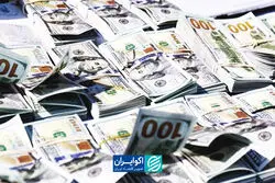  صندوق‌های ارزی چه تفاوتی با نگهداری ارز دارند؟