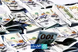  صندوق‌های ارزی چه تفاوتی با نگهداری ارز دارند؟