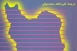 برنامه‌ریزان هارواردی در ایران و تناقضات ذاتی برنامه‌ریزی اقتصادی