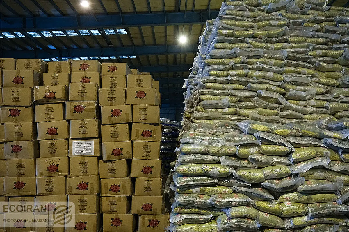 بخشی از طلب چایکاران پرداخت شد /مشکلی در تامین چای داخلی نیست