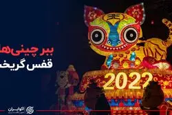 ببر چینی‌ها از قفس گریخت