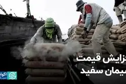 افزایش قیمت سیمان سفید