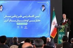 کلنگ زنی زاکانی قبل از خشک شدن مجوز 