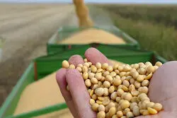 تخلیه 15.5 میلیون تن کالای اساسی؛ بیشترین سهم به سویا رسید