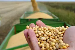 تخلیه 15.5 میلیون تن کالای اساسی؛ بیشترین سهم به سویا رسید