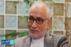 مرعشی: افراطی‌ها باید به اندازه وزن رأی‌شان در سیاست حضور داشته باشند