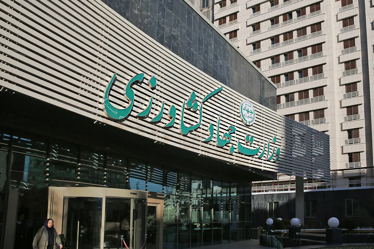 ثبات نسبی در بازار کالاهای اساسی؛برنج و حبوبات در مسیر کاهش قیمت