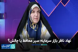 نهاد ناظر بازار سرمایه؛ سپر محافظ یا چالش ؟