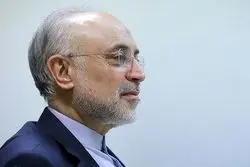 روایت صالحی از میراث هسته‌ای رهبر شهید؛ فتوا علیه سلاح کشتار جمعی