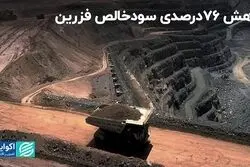 کاهش 76 درصدی سودخالص فزرین