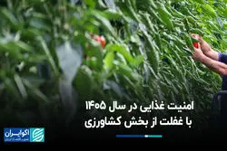 تهدید امنیت غذایی در سال 1405 با غفلت از بخش کشاورزی