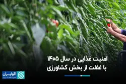 تهدید امنیت غذایی در سال 1405 با غفلت از بخش کشاورزی