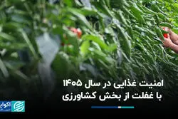 تهدید امنیت غذایی در سال 1405 با غفلت از بخش کشاورزی