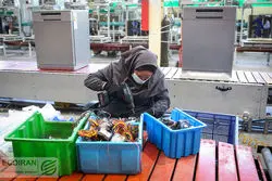 لوازم خانگی با رشد تولید وارد قرن جدید شد + نمودار