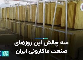 سه چالش این روزهای صنعت ماکارونی ایران