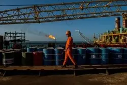 یک انتصاب جدید در دولت/ امید شاکری کیست و چه سمتی گرفت؟