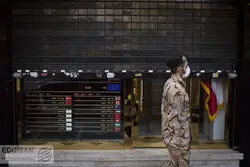 نوسان اندک دلار در مرز حساس