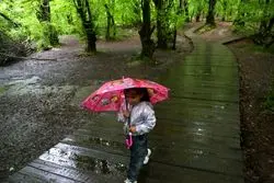 پیش‌بینی مهم هواشناسی؛ بارش باران و طوفان در نقاط مختلف کشور