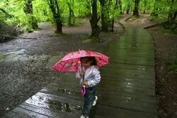 پیش‌بینی مهم هواشناسی؛ بارش باران و طوفان در نقاط مختلف کشور