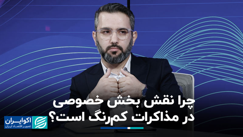 چرا نقش بخش خصوصی در مذاکرات کم‌رنگ است؟
