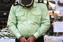 اخاذی مأموران قلابی در جردن؛ ۲ متهم دستگیر شدند