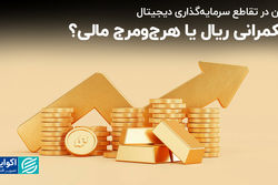 حکمرانی ریال یا هرج‌ومرج مالی؟