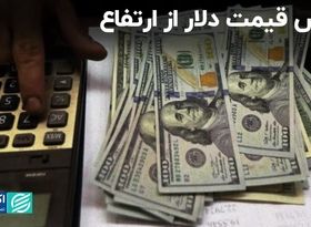 ترس قیمت دلار از ارتفاع 