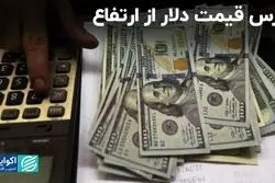 ترس قیمت دلار از ارتفاع 