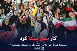 کار بیخ پیدا کرد