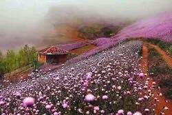 جاذبه‌ های گردشگری غرب ایران