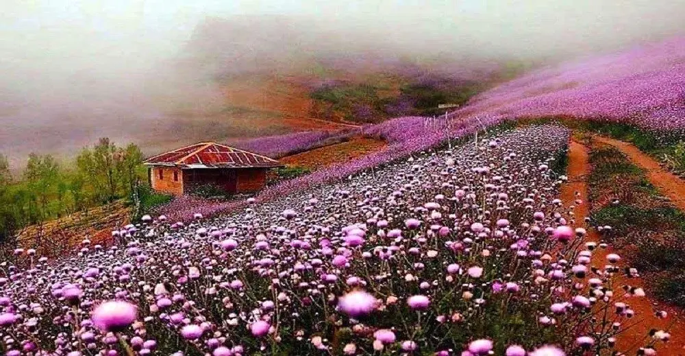 جاذبه‌ های گردشگری غرب ایران