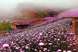 جاذبه‌ های گردشگری غرب ایران