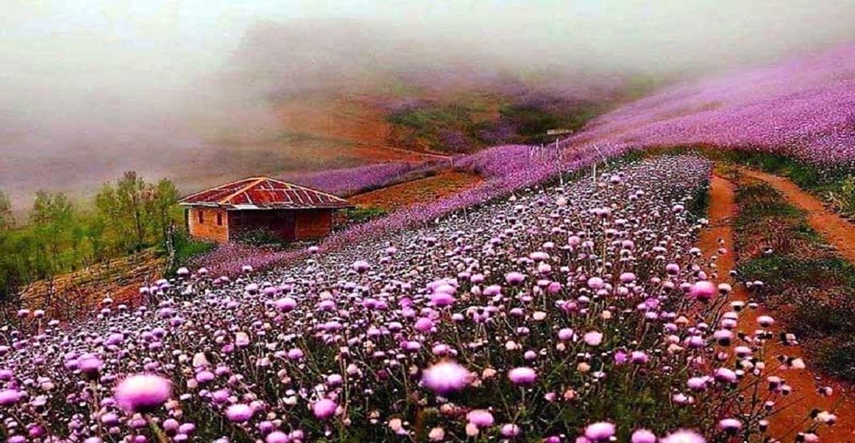 جاذبه های گردشگری غرب ایران