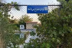 روایت بازپرس ویژه قتل از مرگ دو کودک در بوستان زیتون

