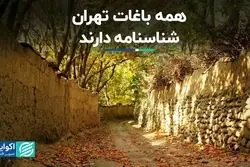 بوستان انتفاعی تنها راه حفظ باغ‌های تهران