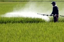 الاکلنگ دولت برای تخصیص ارز ترجیحی به کشاورزی/ نه ارز تخصیص داده می‌شود و نه رفع تعهد ارزی صورت می‌گیرد