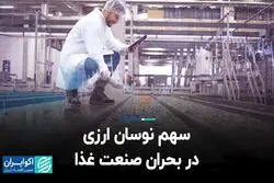 سهم نوسان ارزی در بحران صنعت غذا