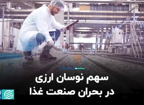 سهم نوسان ارزی در بحران صنعت غذا