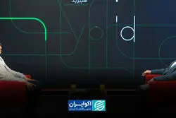 خصوصی‌سازی بدون آمادگی نهادی مثل خانه ساختن در باتلاق است   