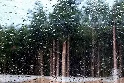 هشدار نارنجی هواشناسی / رگبار و رعدوبرق در راه شمال غرب و تهران