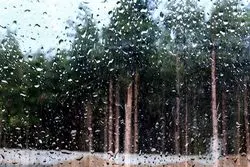 هشدار نارنجی هواشناسی / رگبار و رعدوبرق در راه شمال غرب و تهران