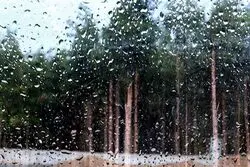 هشدار نارنجی هواشناسی / رگبار و رعدوبرق در راه شمال غرب و تهران