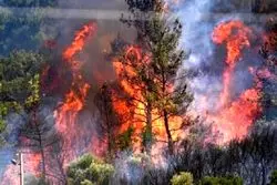 جزئیات آتش‌سوزی در جنگل‌های سیاهکل و رودبار 