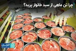 چرا تن ماهی از سبد خانوار پرید؟
