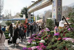 برخورد با متخلفان در حوزه گران‌فروشی خدمات گردشگری در ایام نوروز