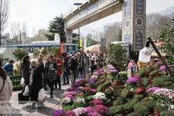 برخورد با متخلفان در حوزه گران‌فروشی خدمات گردشگری در ایام نوروز