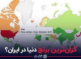 گران‌ترین برنج دنیا در ایران؟